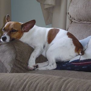 Meet your Posher, Terry